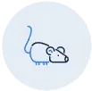 Rodent